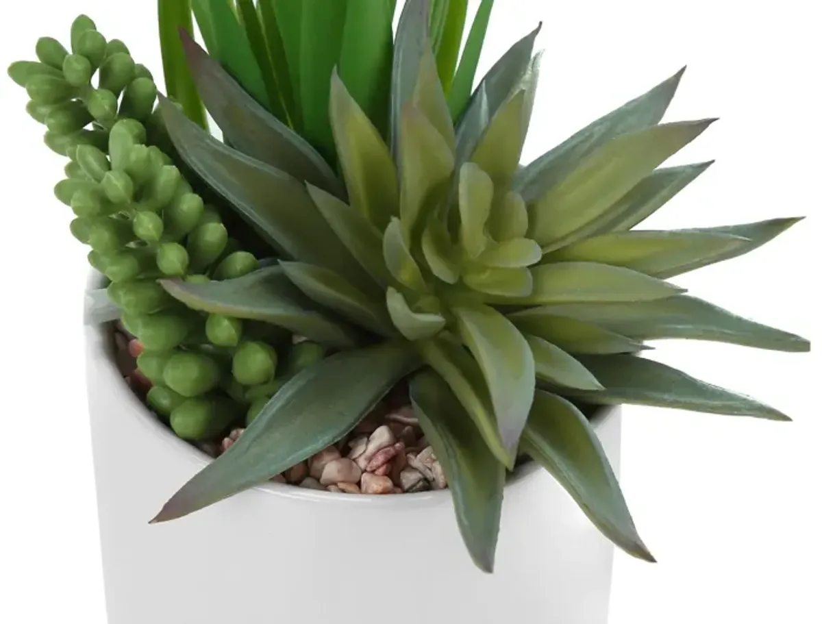 Set of 2 Faux Succulents in Ceramic Pots