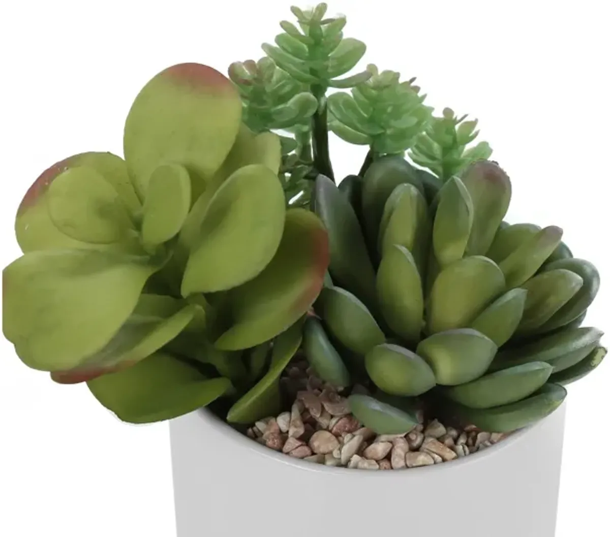 Set of 2 Faux Succulents in Ceramic Pots