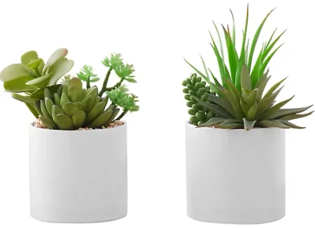 Set of 2 Faux Succulents in Ceramic Pots