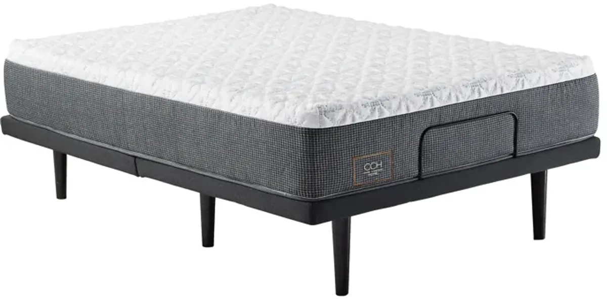 Cindy Crawford Home Allure Medium Hybrid Queen 12" Mattress