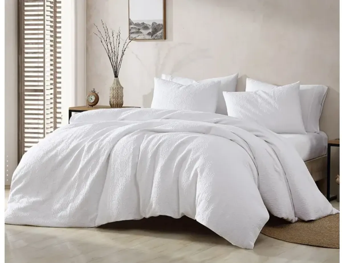 Matelass� Fan 3pc Queen Comforter Set