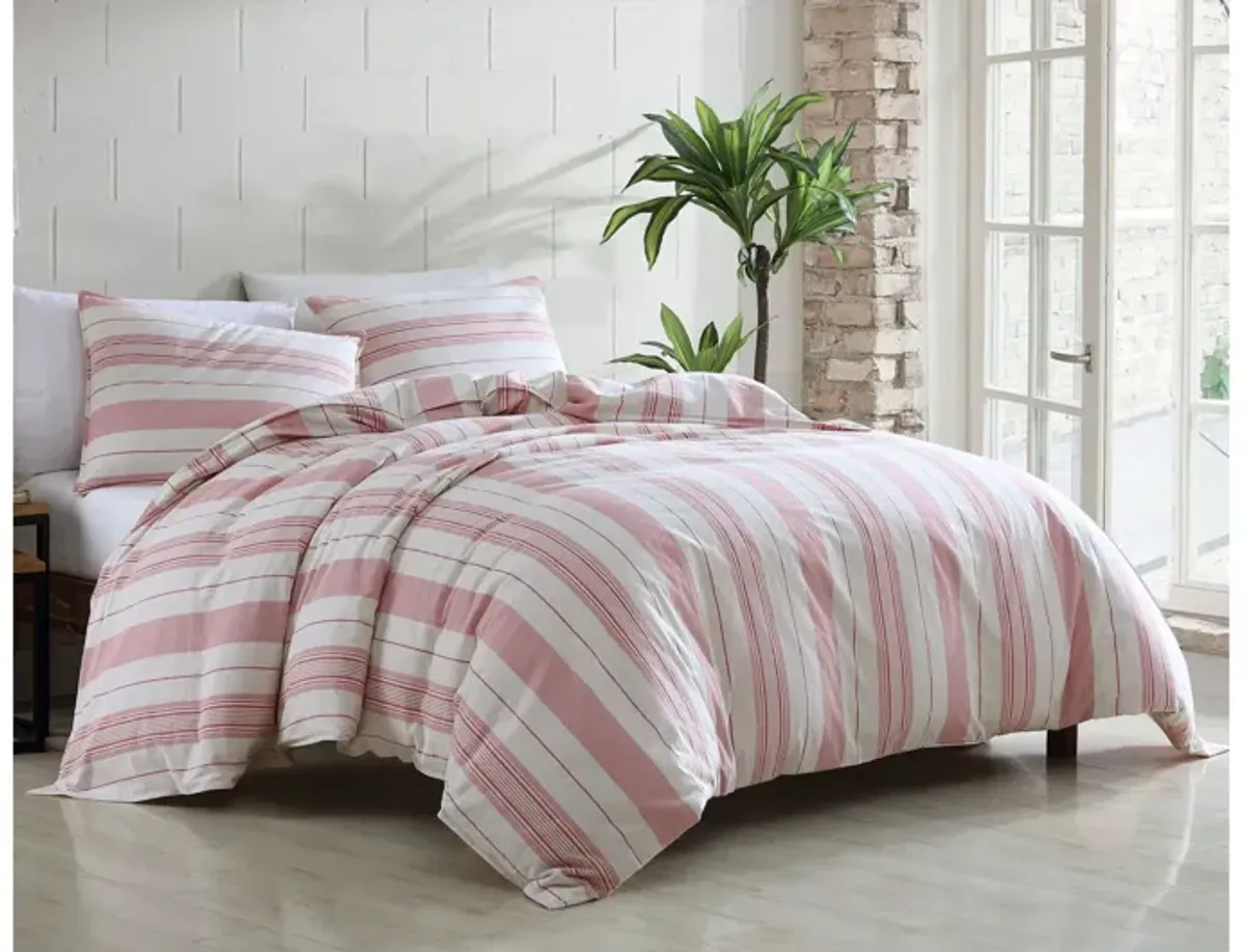 Aniwa 3pc Queen Comforter