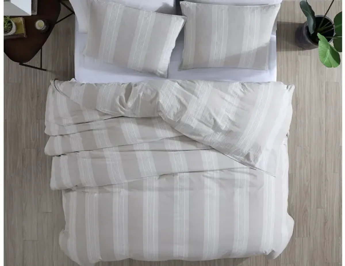 Harvest 2pc Twin Comforter