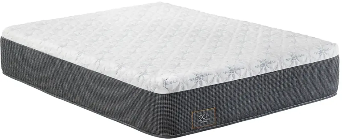 Cindy Crawford Home Ethereal Queen Plush 15" Mattress