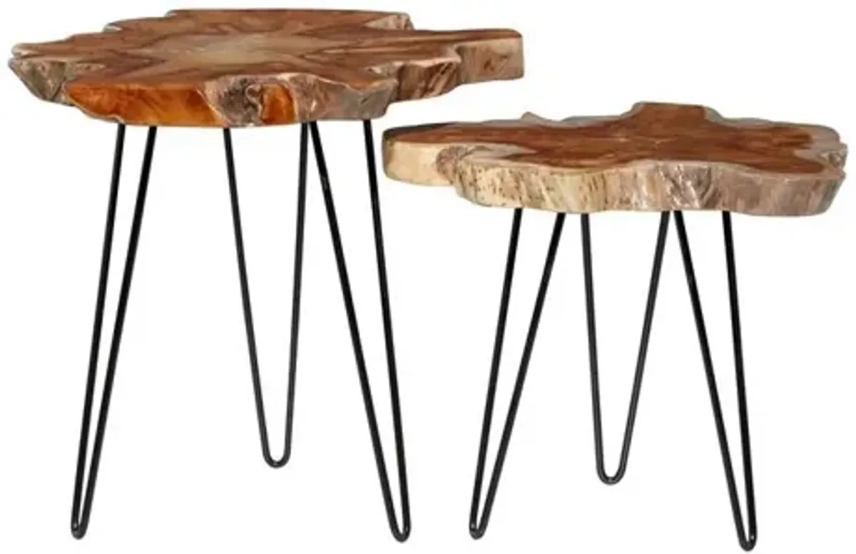 S/2 Metal Teak Side Tables