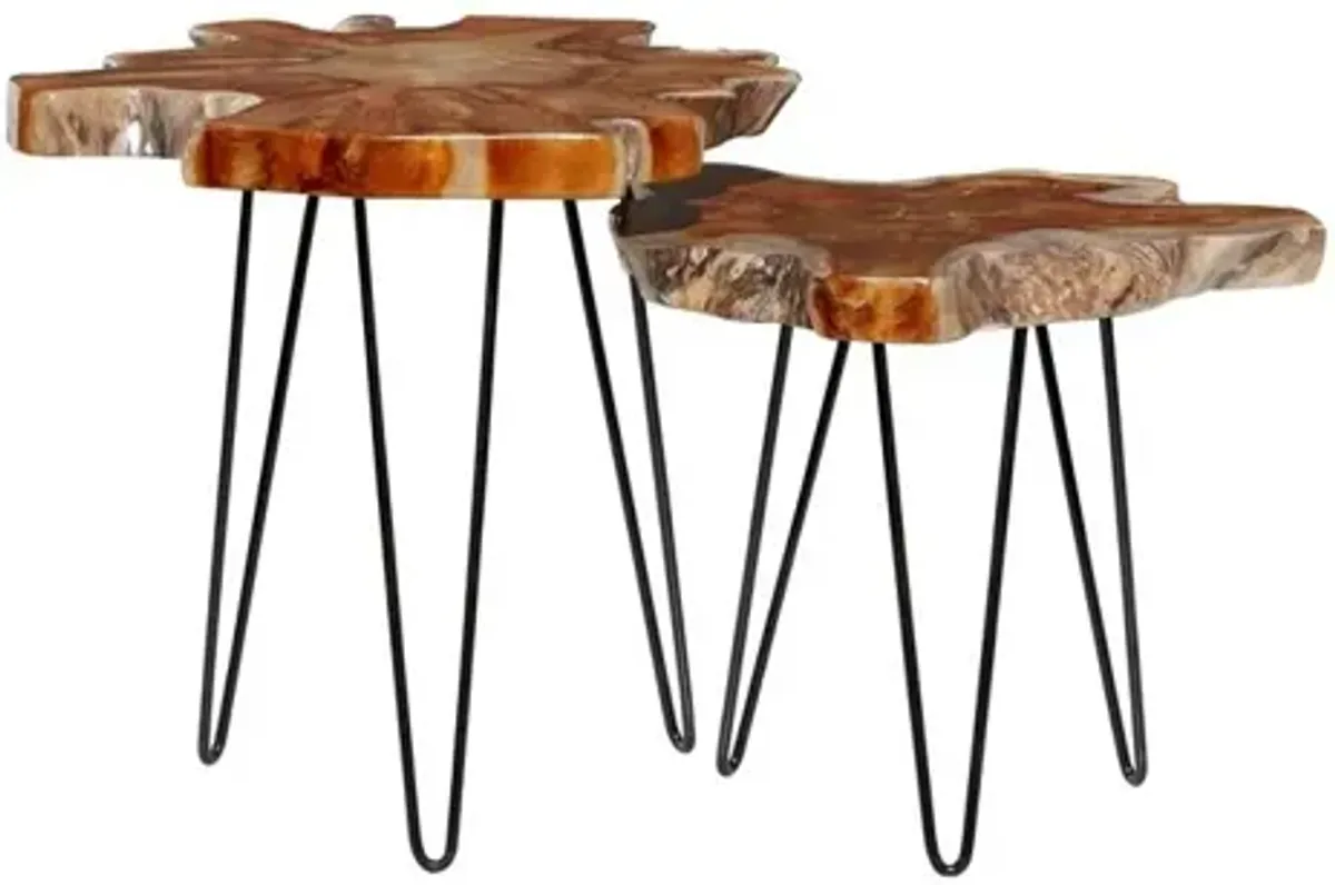 S/2 Metal Teak Side Tables