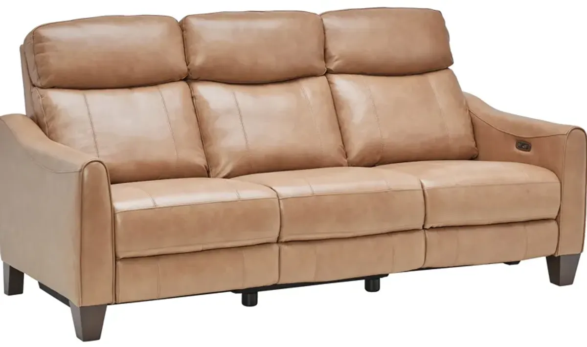 Damon Brown Leather Dual Power Reclining Sofa