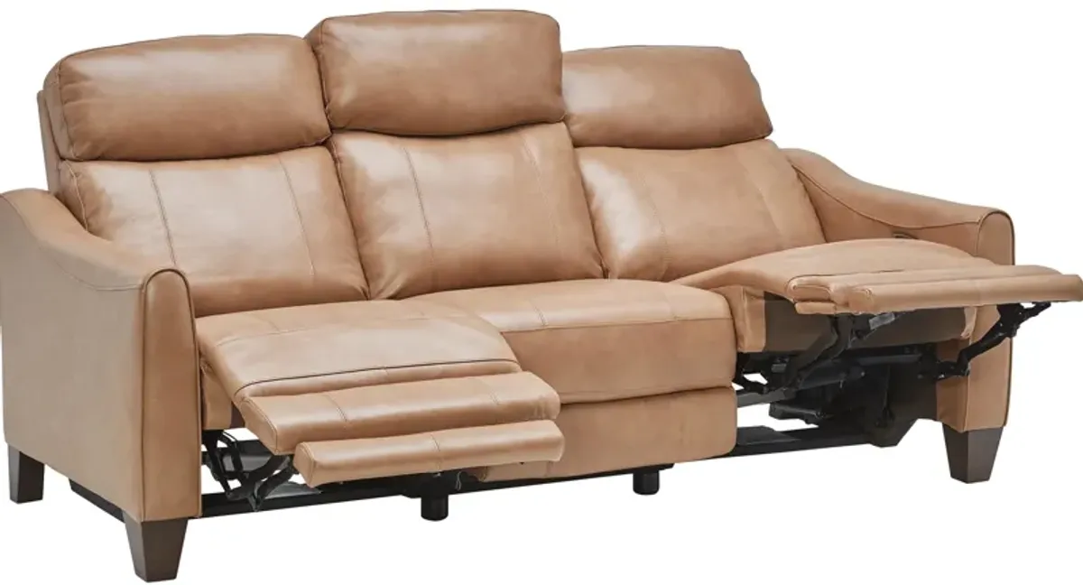 Damon Brown Leather Dual Power Reclining Sofa