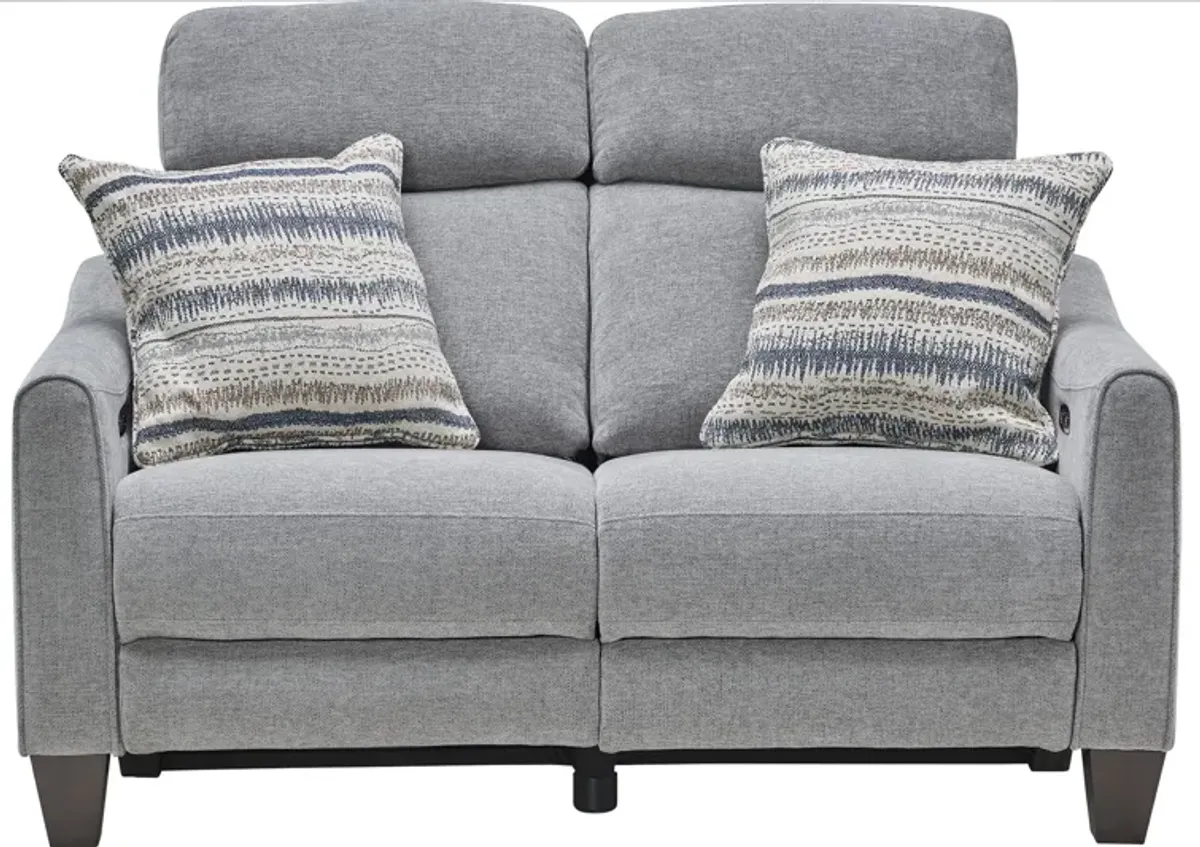 Damon Grey Dual Power Reclining Loveseat