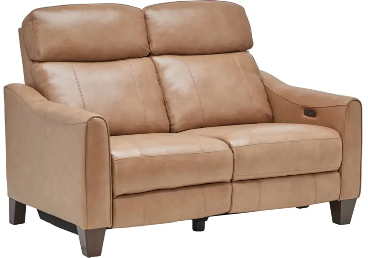 Damon Brown Leather Dual Power Reclining Loveseat