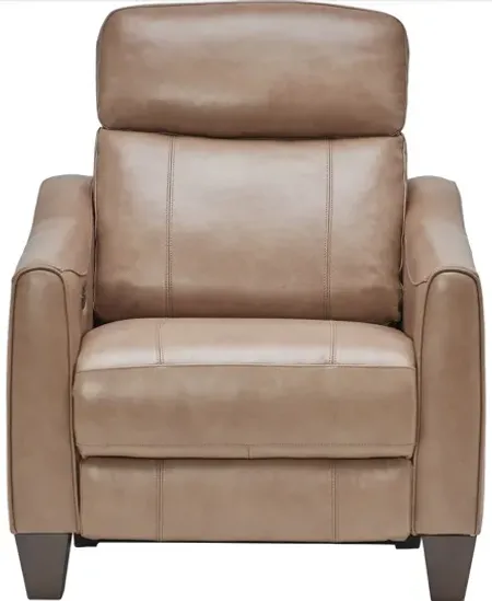 Damon Brown Leather Dual Power Recliner