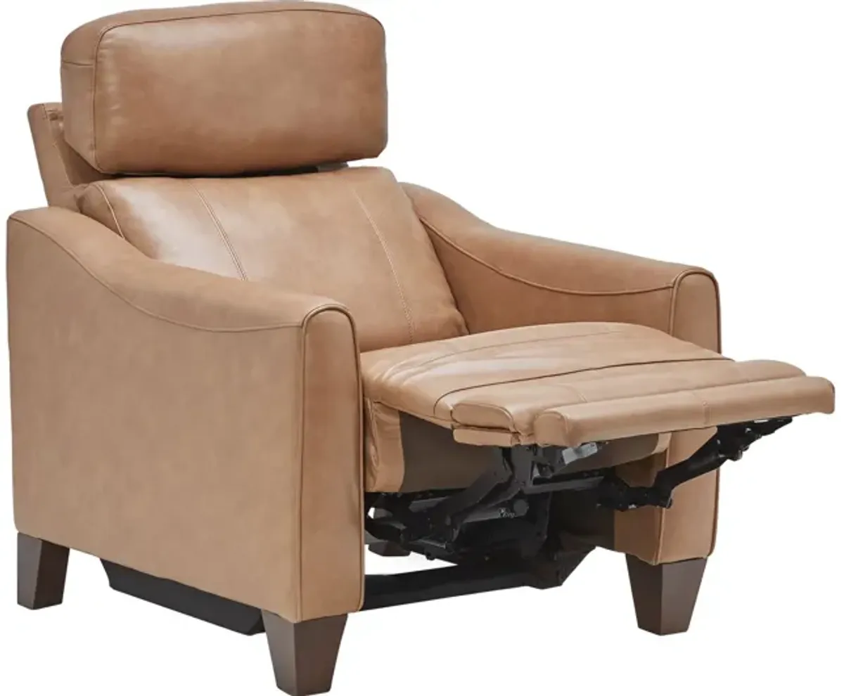 Damon Brown Leather Dual Power Recliner