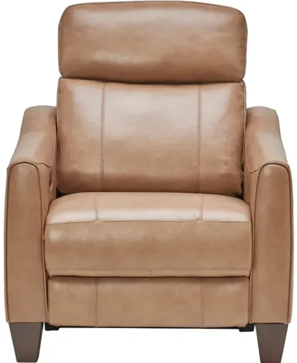 Damon Brown Leather Dual Power Recliner