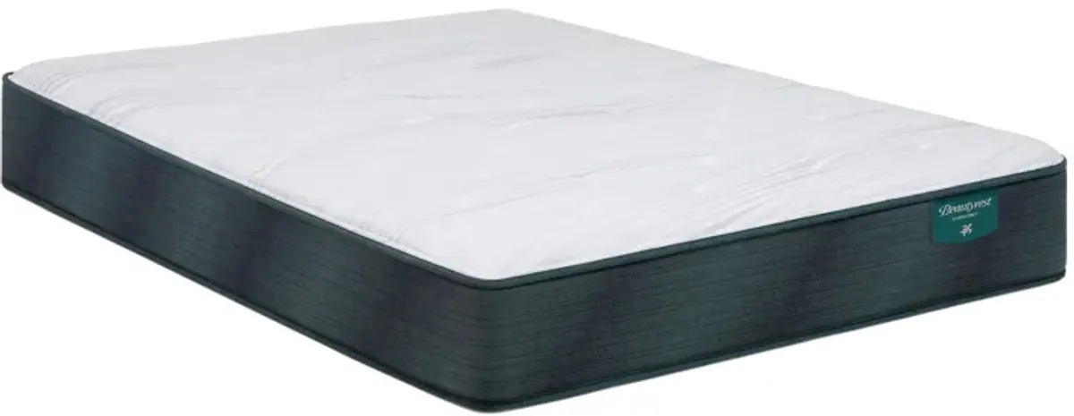 Beautyrest Harmony Beachfront Bay Plush Innerspring Queen 12.25" Mattress