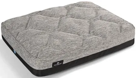 Performance® Dog Bed - S by BEDGEAR