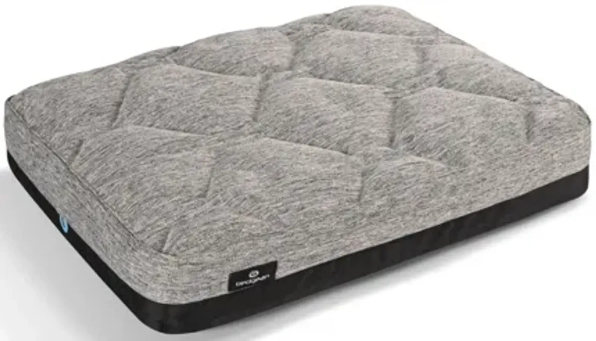 Performance® Dog Bed - S by Bedgear