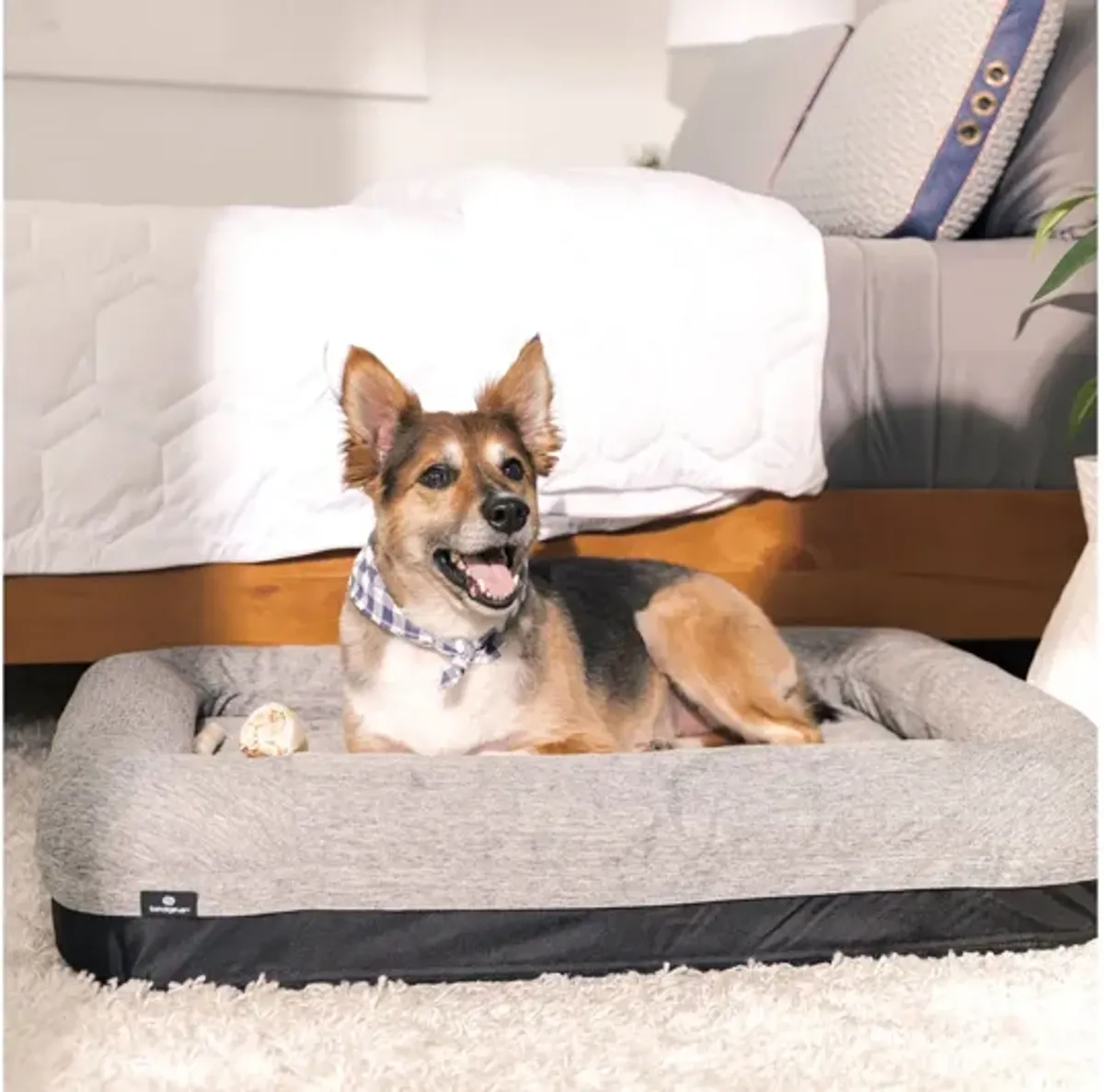 Performance® Dog Bed - S by Bedgear