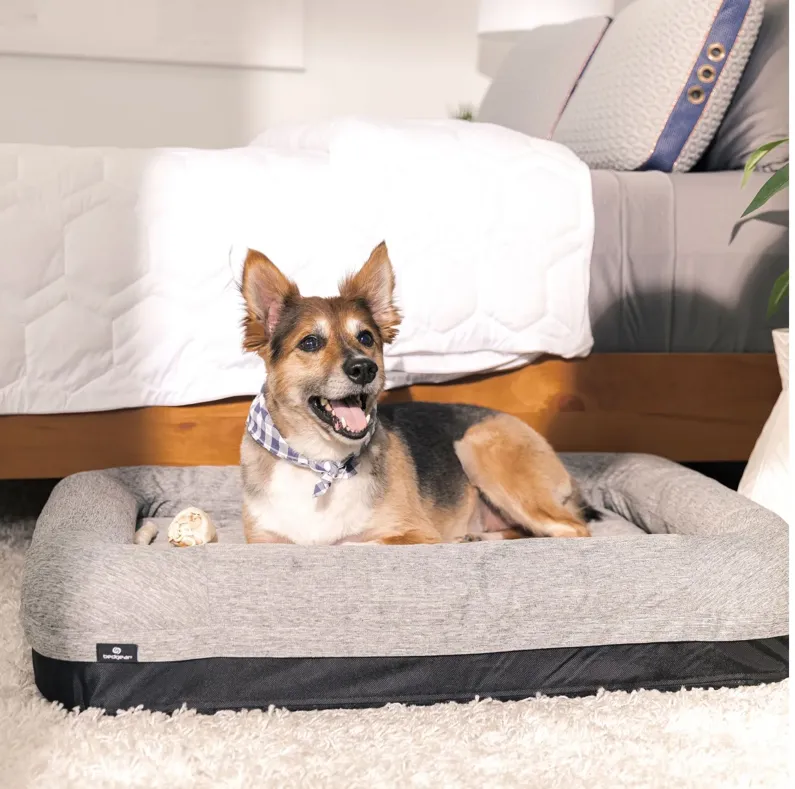Performance® Dog Bed - S by BEDGEAR