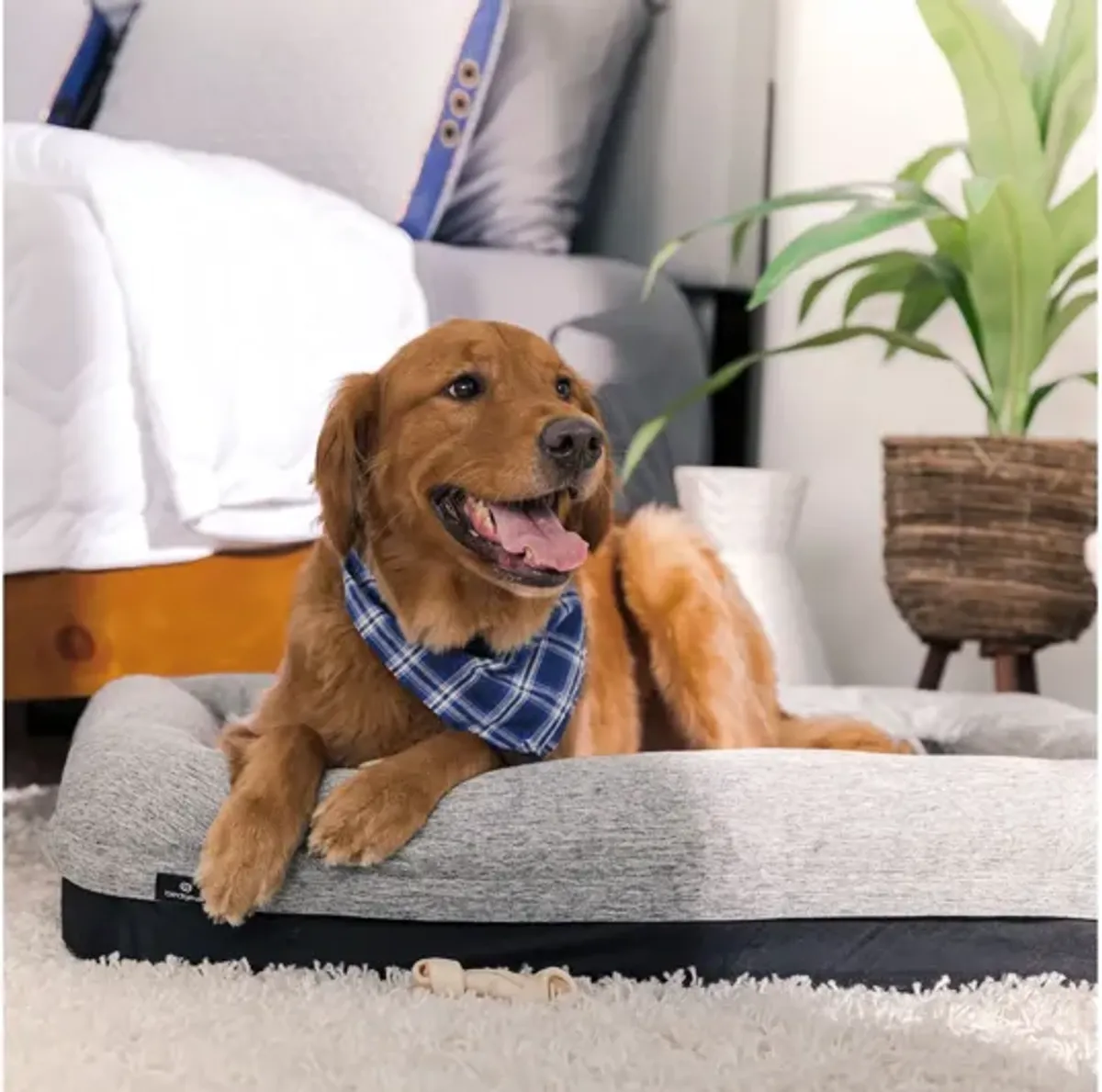 Performance® Dog Bed - M/L by Bedgear