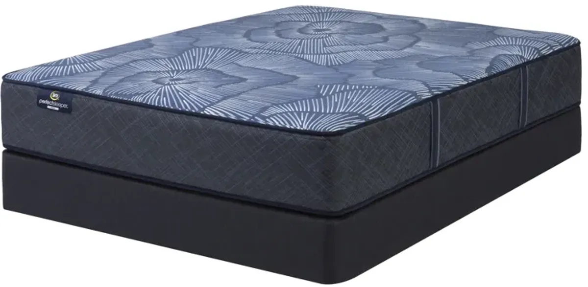 Serta Perfect Sleeper Euphoric Nights Plush Hybrid Twin 13" Mattress