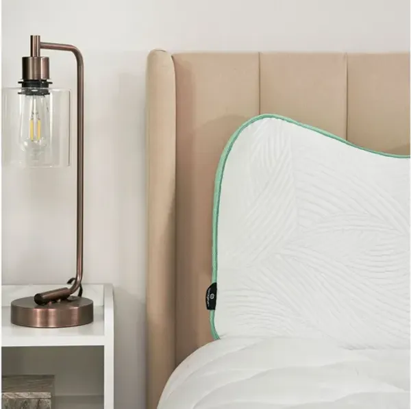 Bedgear® Level Cuddle 2.0 Pillow