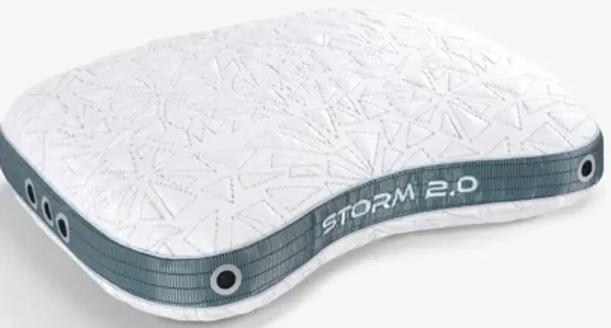 Storm Cuddle 2.0 Pillow by Bedgear