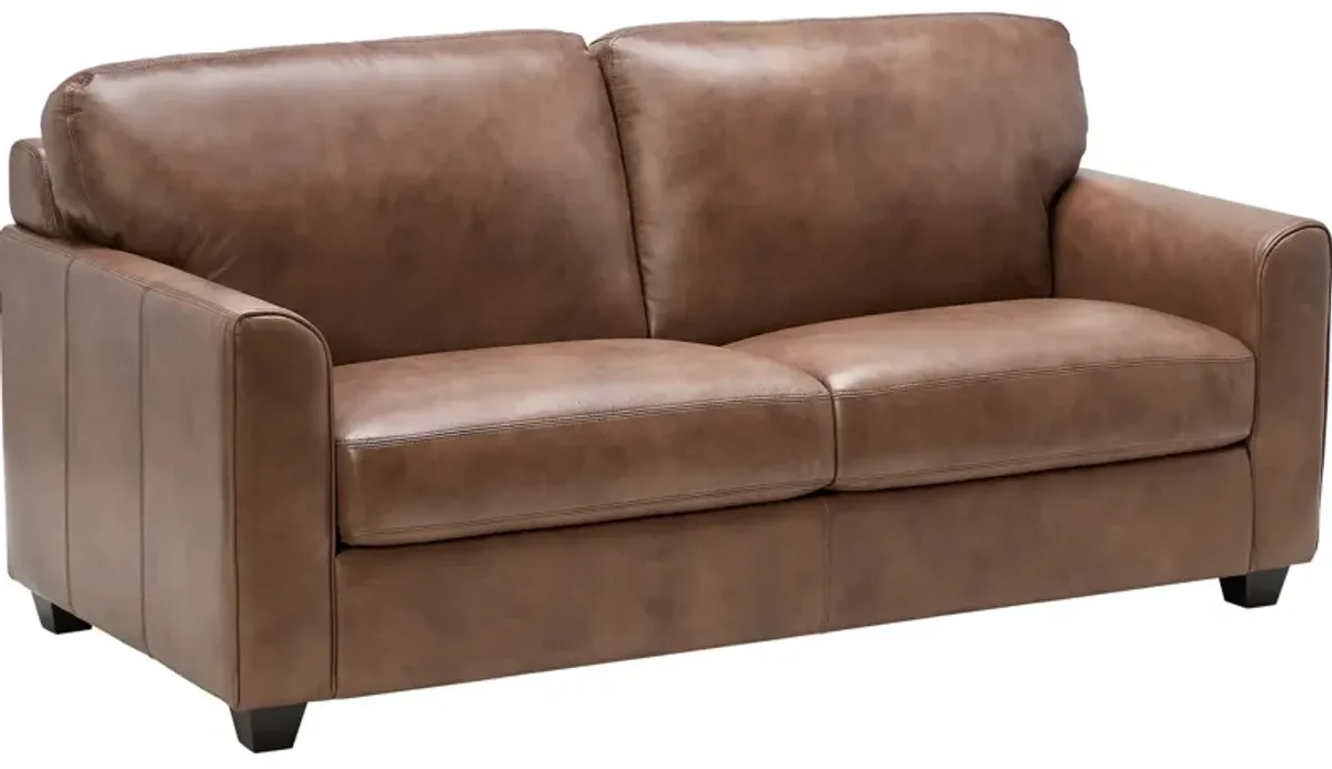 Wesley Brown Leather Full Sleeper Loveseat