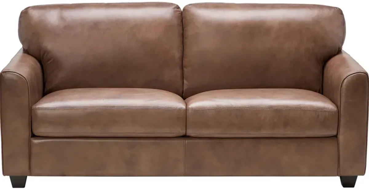 Wesley Brown Leather Full Sleeper Loveseat