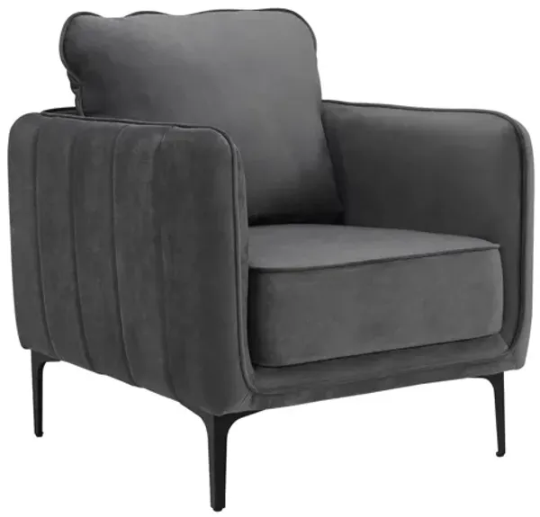 Rae Chair in Lavish Grey Velvet
