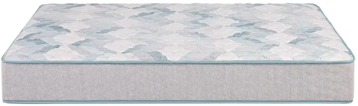 Beauty Sleep® Dream Weaver Firm Innerspring Twin 11.5" Mattress