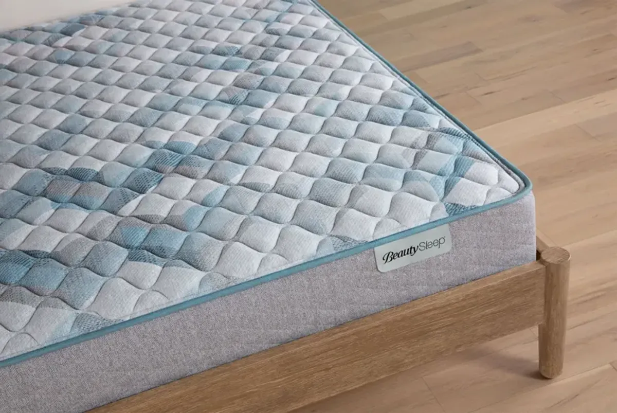 Beauty Sleep® Dream Weaver Firm Innerspring Twin 11.5" Mattress