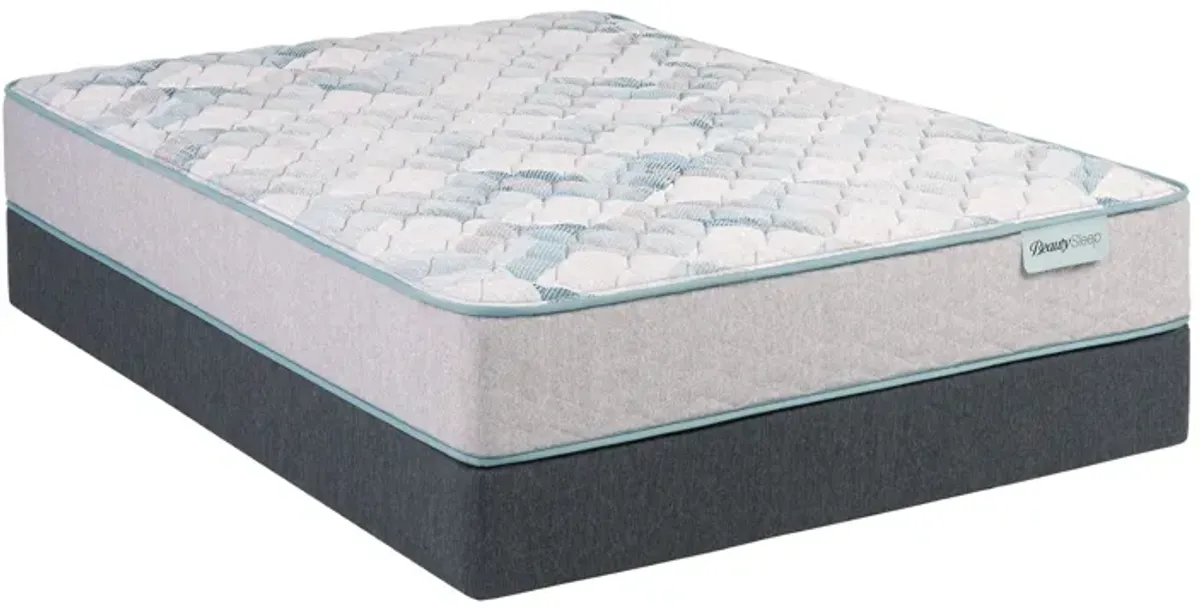 Beauty Sleep® Dream Weaver Firm Innerspring Twin 11.5" Mattress