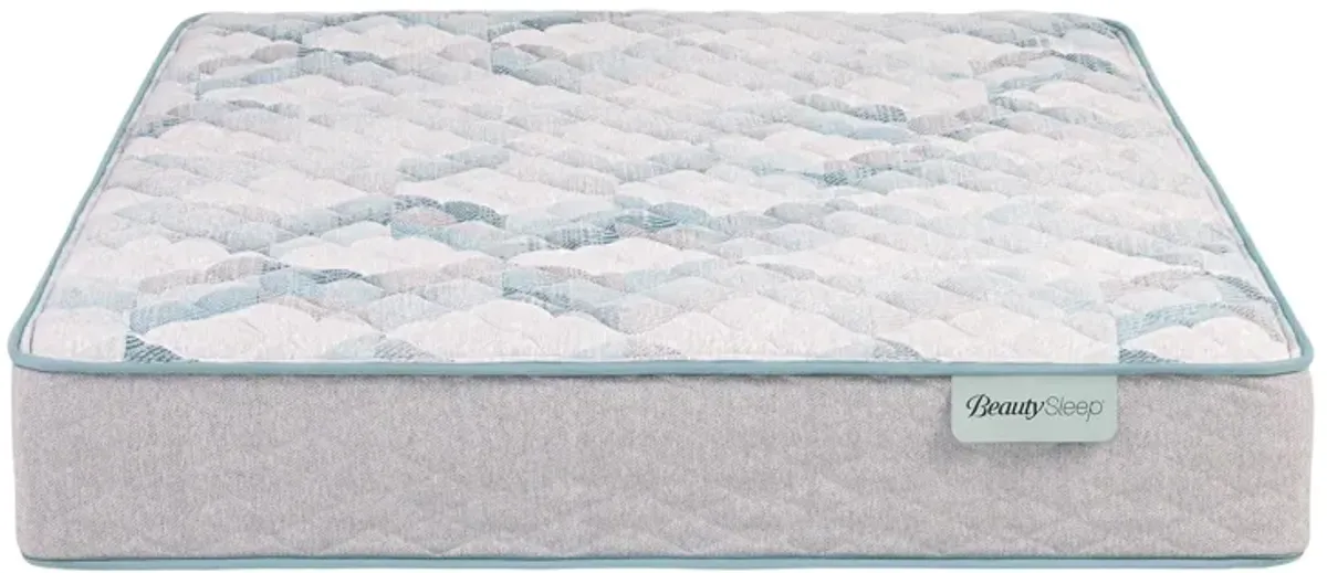 Beauty Sleep® Dream Weaver Firm Innerspring Twin 11.5" Mattress