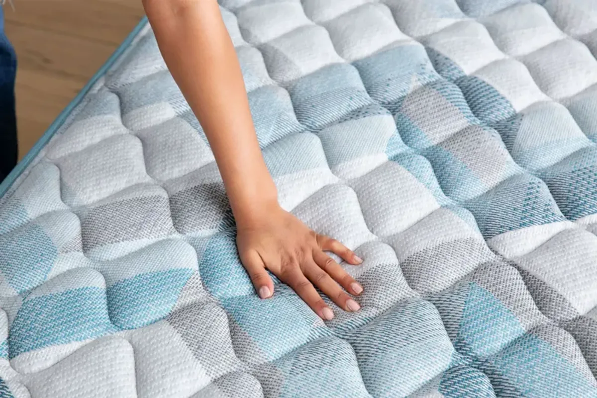 Beauty Sleep® Dream Weaver Firm Full Mattress