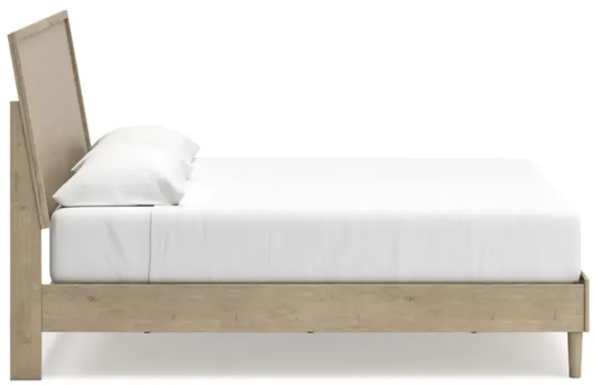 Cielden King Panel Bed