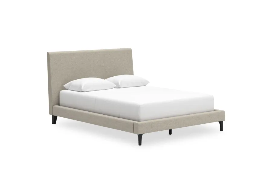 Cielden Full Upholstered  Bed w/Roll Slats