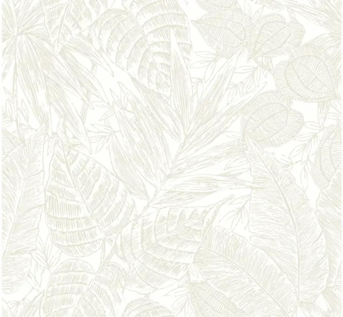 Brentwood Bone Palm Leaves Wallpaper