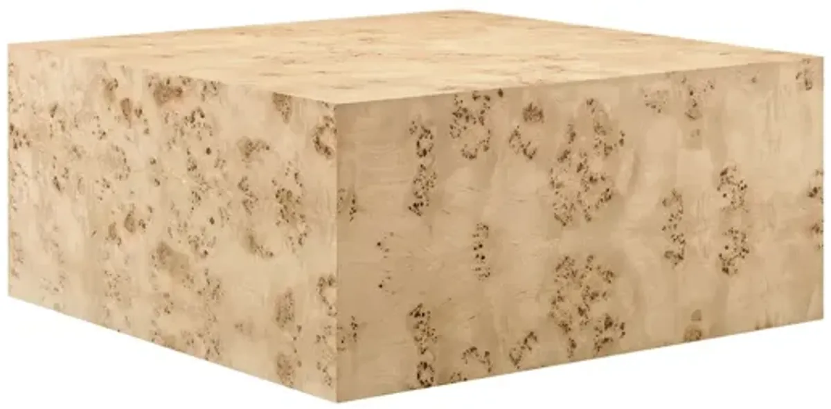 Cosmos 36" Square Burl Wood Coffee Table by Modway