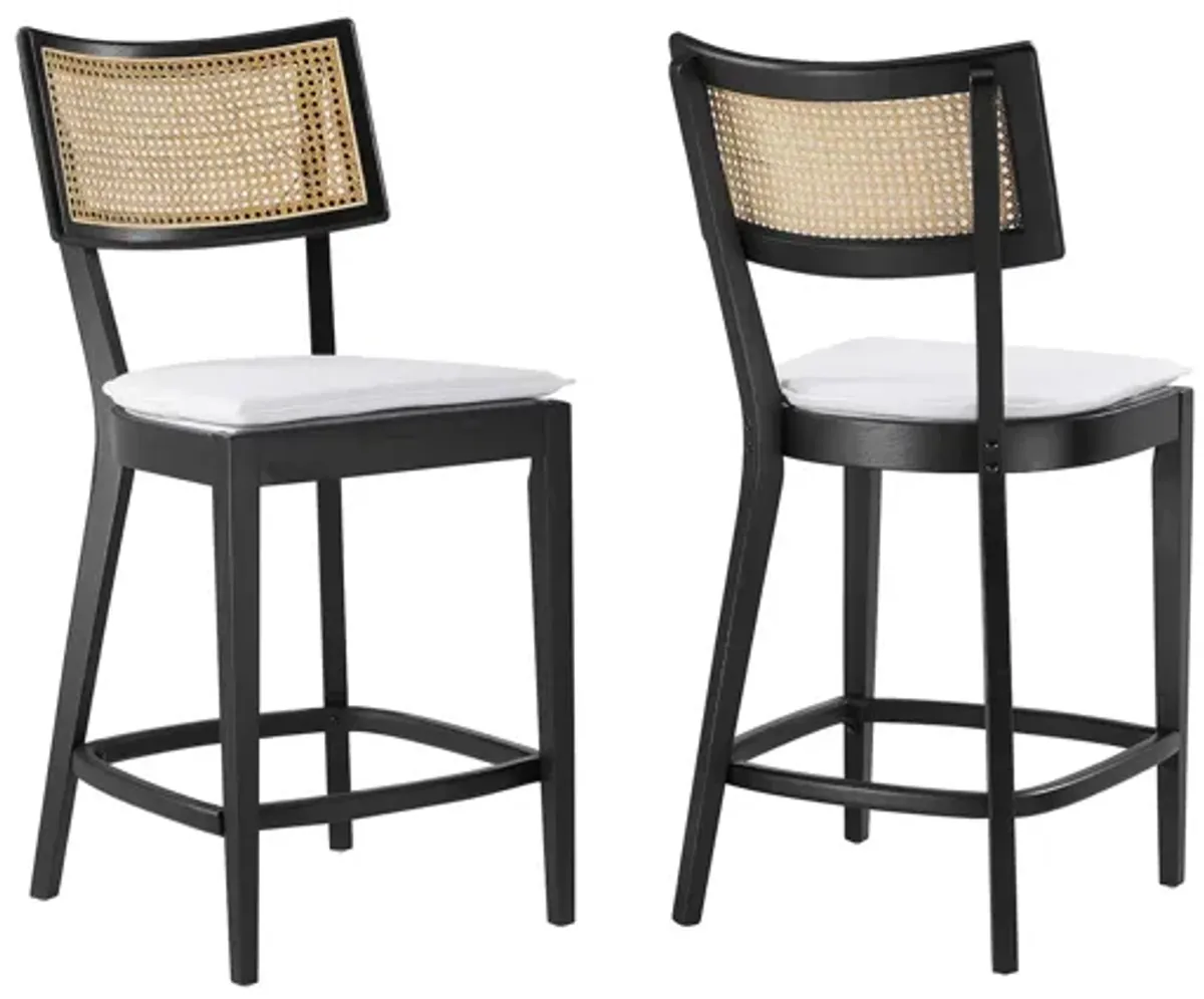 Caledonia Wood Counter Stools Set of 2