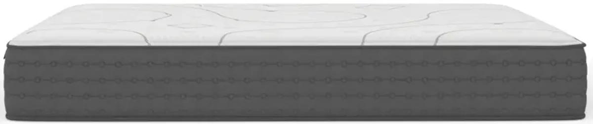 King Koil Asher Firm Memory Foam Twin 11" Mattress