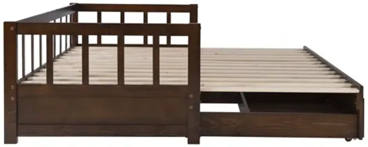 Hope Daybed Espresso