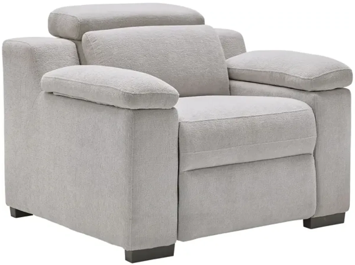Lounge Dual Power Recliner