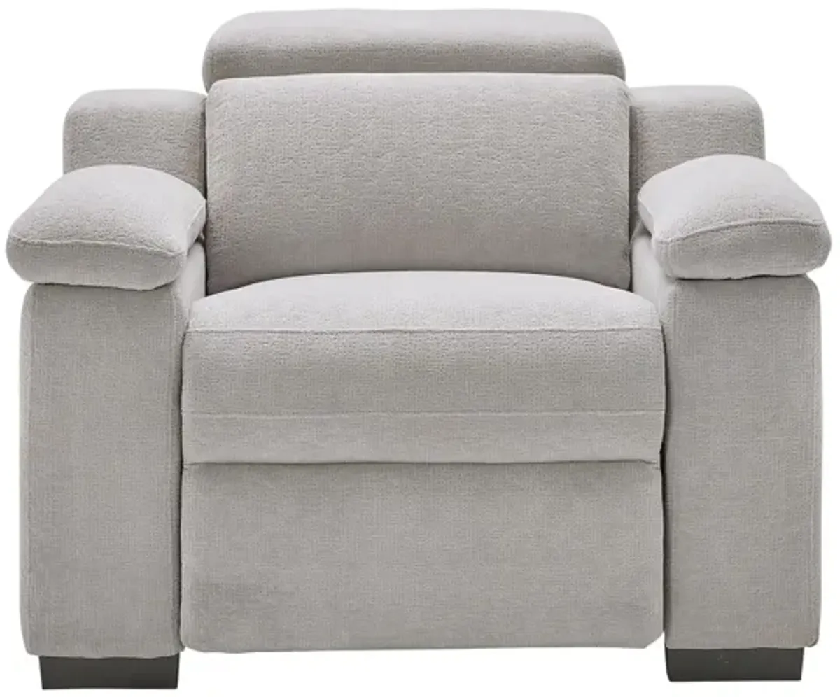 Lounge Dual Power Recliner