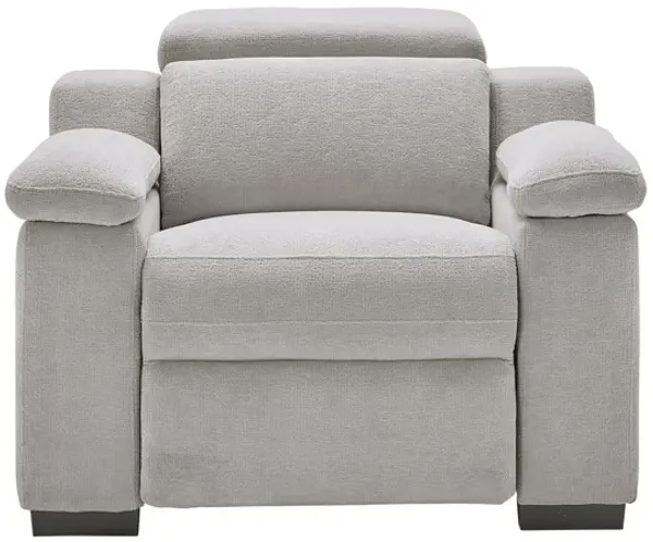 Lounge Dual Power Recliner