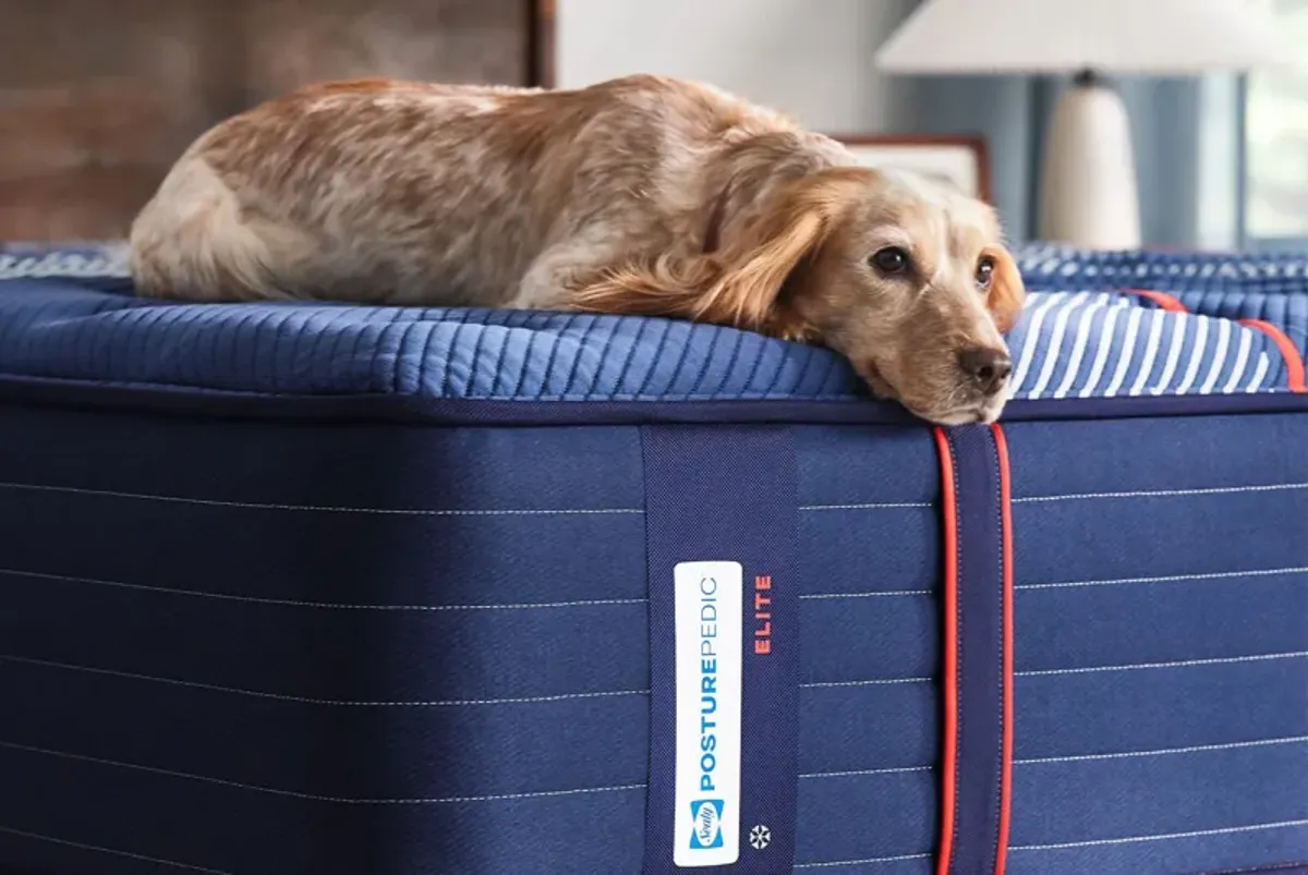 Sealy Posturepedic® Albany Firm Innerspring 14" California King Mattress