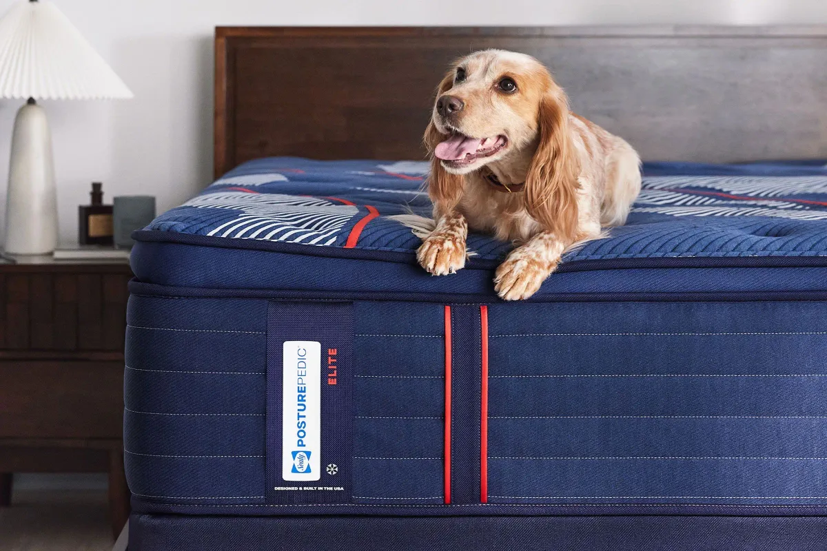 Sealy Posturepedic® Albany Soft Pillowtop Innerspring 15" Twin XL Mattress