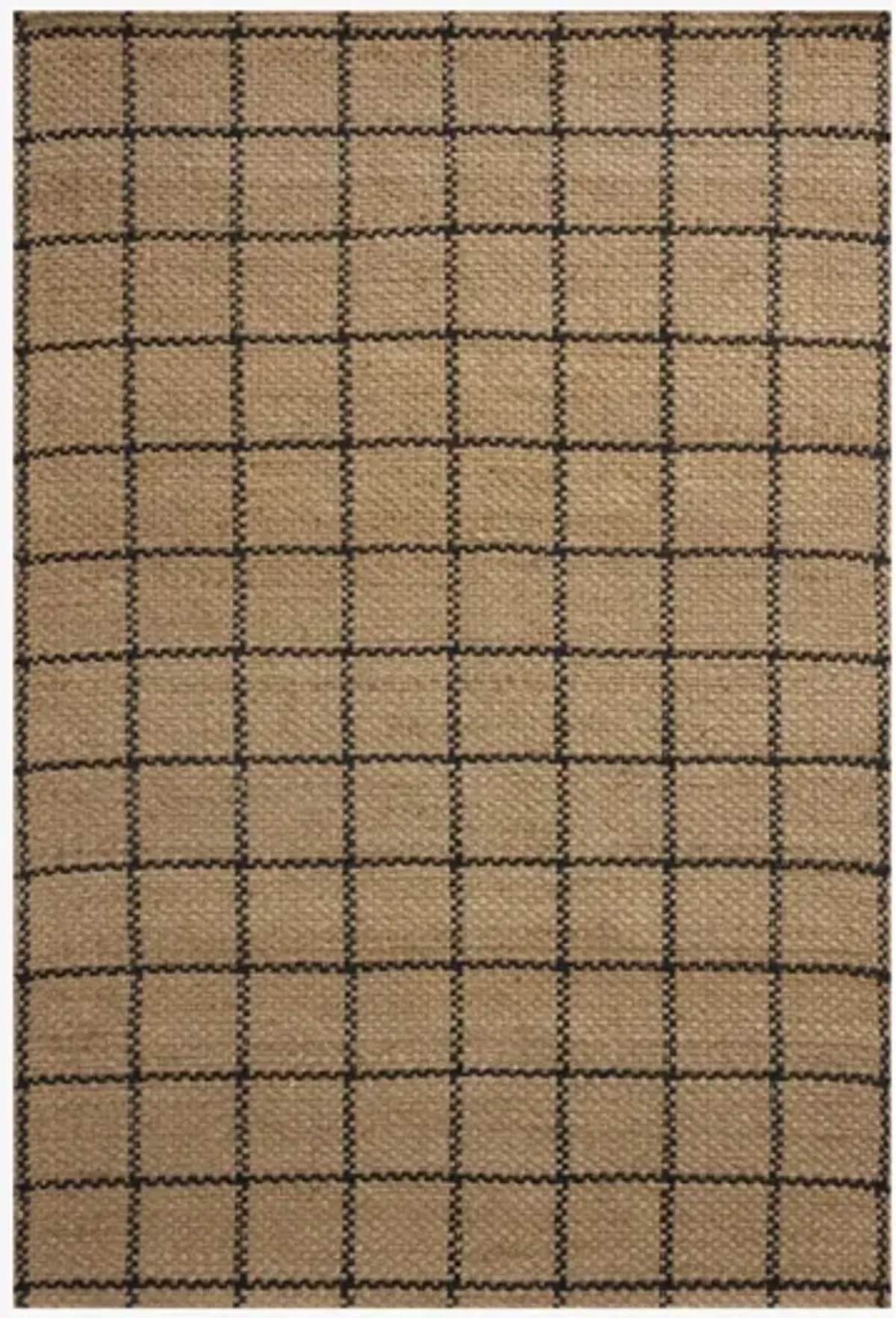 Fletcher Black Grid 7 x 9 Area Rug