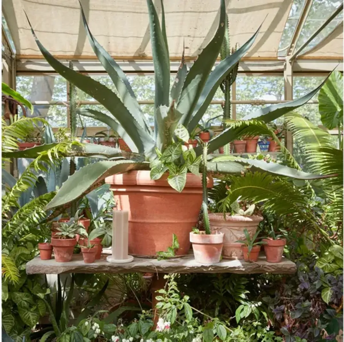 Fancy Hexagon Moss Pillar Candle