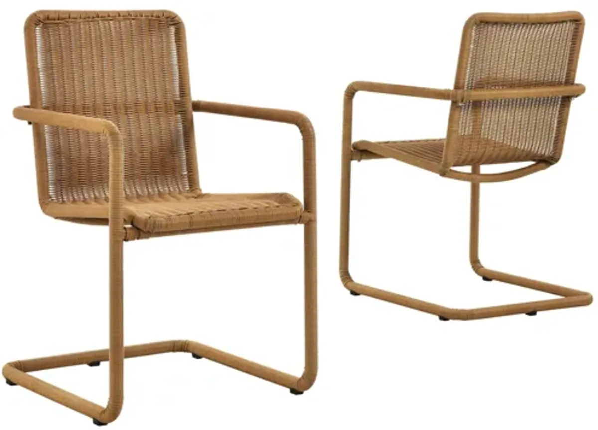 Abacus Outdoor Patio Wicker Dining Chairs Set of 2