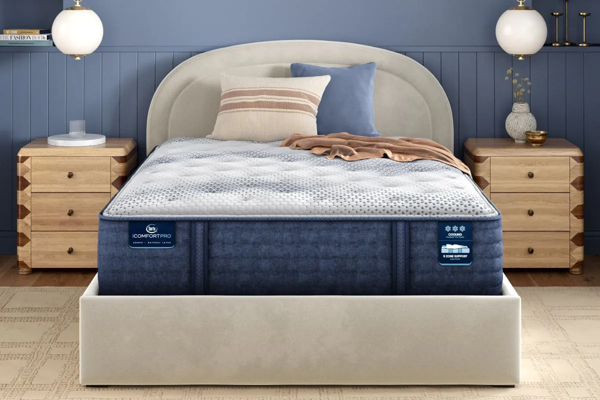 Serta iComfortPro Canterbury Plush Latex 15" Queen Mattress